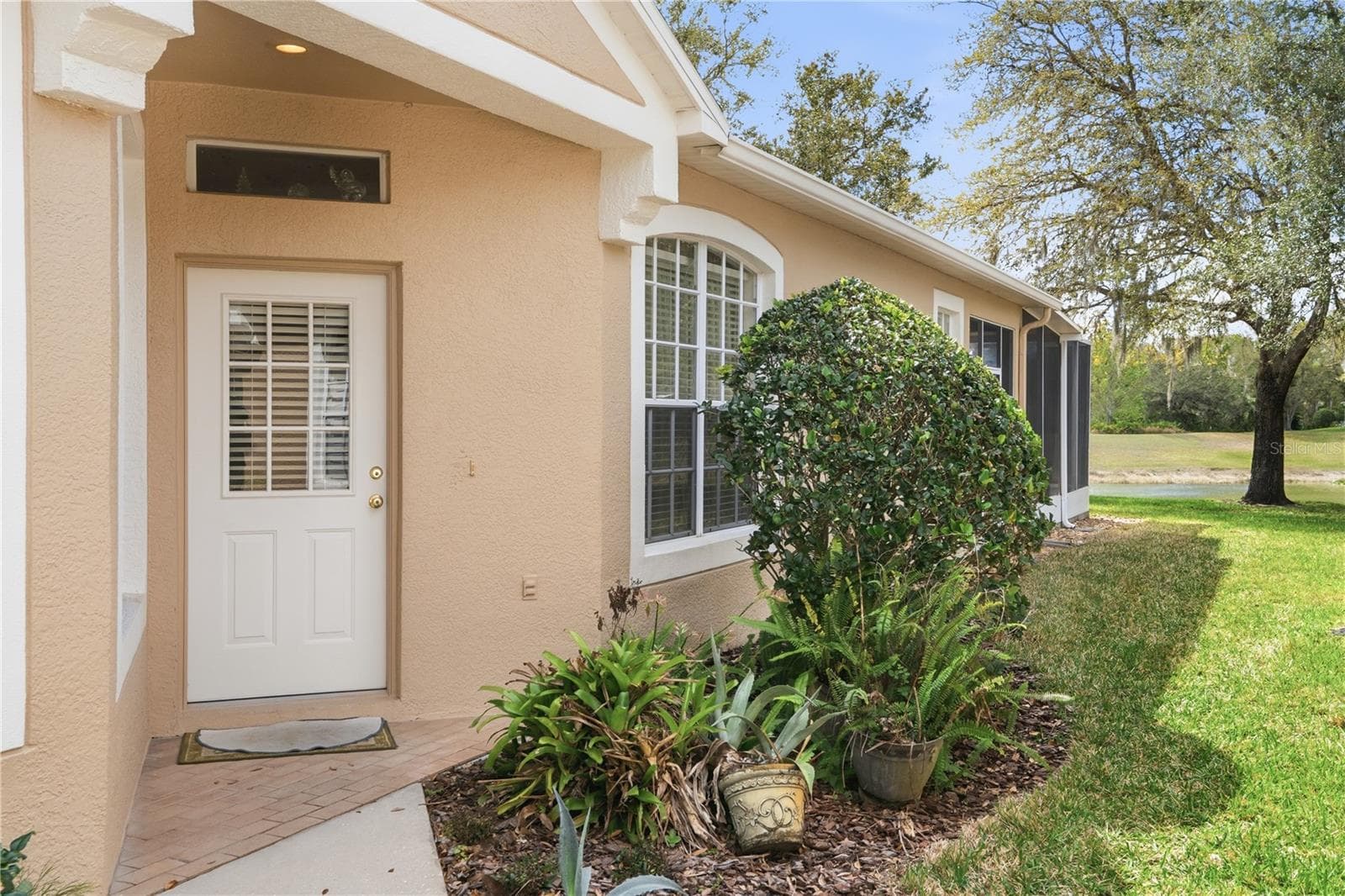 19112 White Wing Pl photo 4