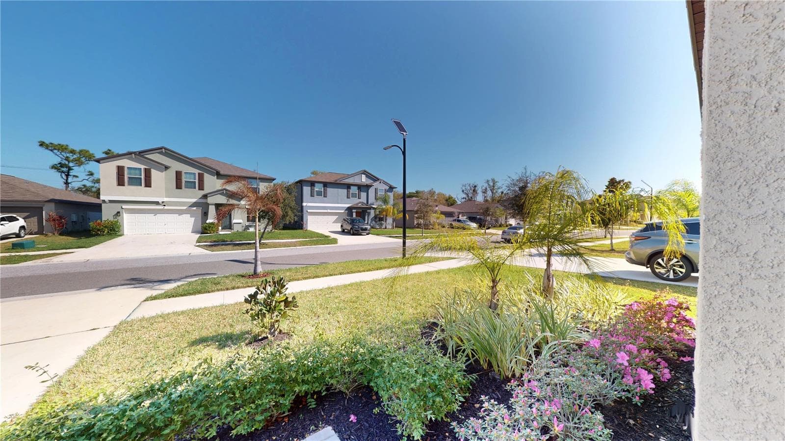 10313 Scarlet Skimmer Dr photo 3