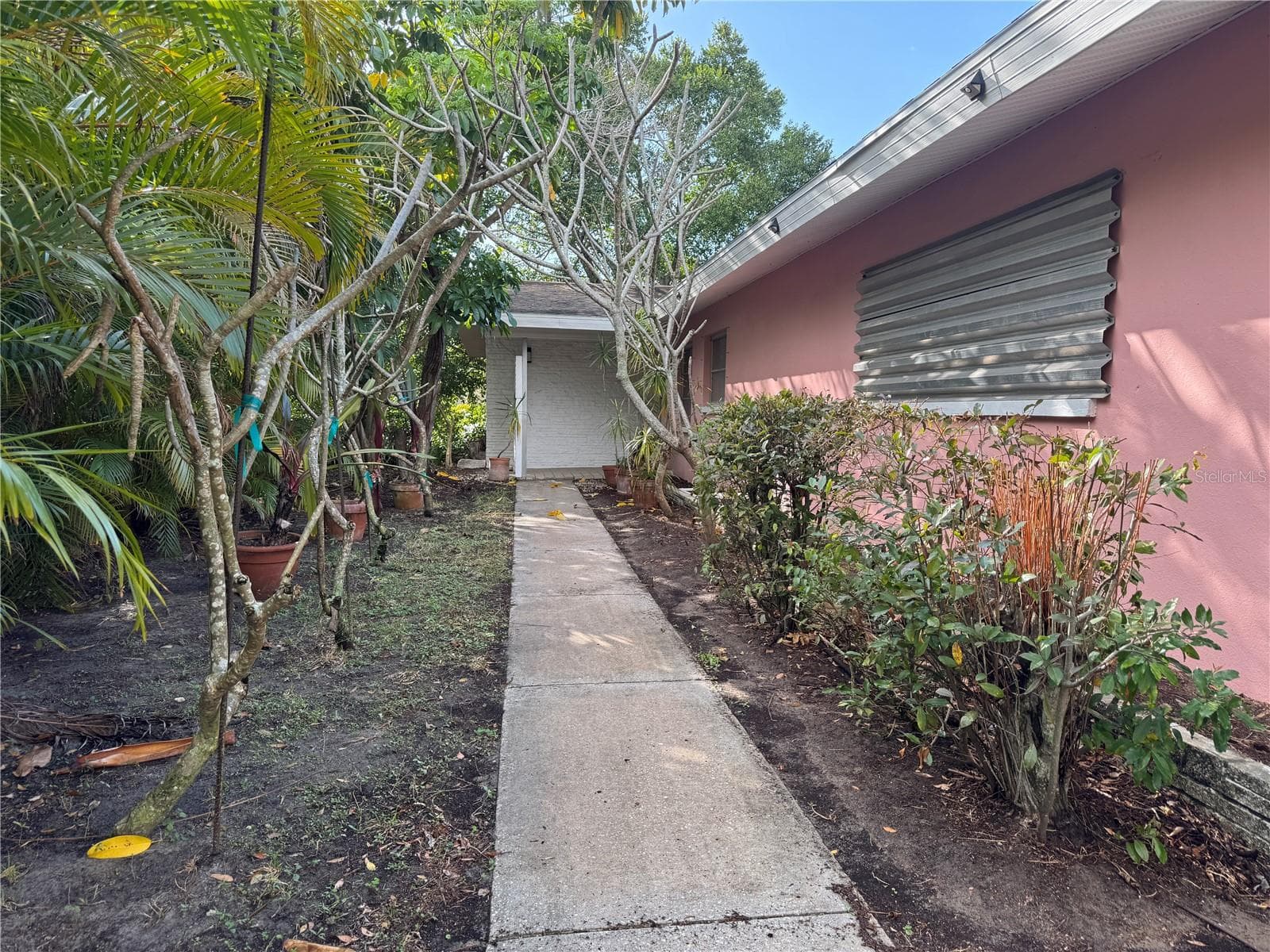 1546 Belleair Rd photo 3