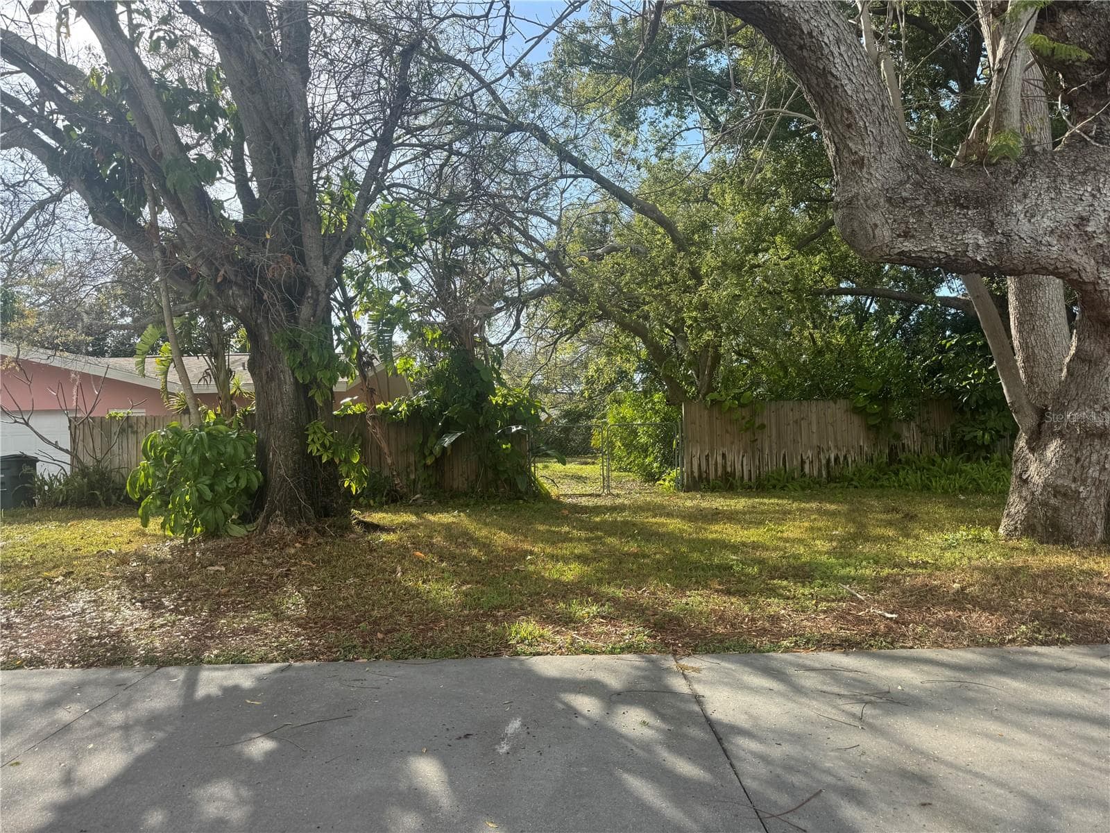 1546 Belleair Rd photo 5