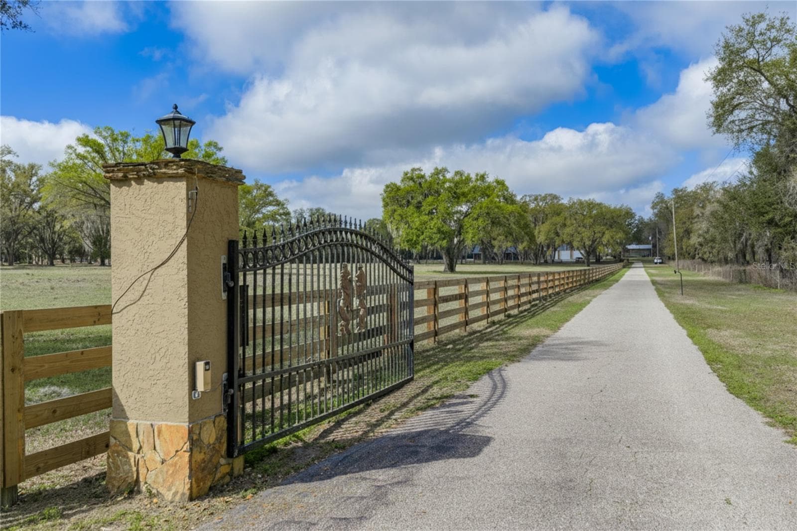 15131 Bellamy Brothers Blvd photo 5