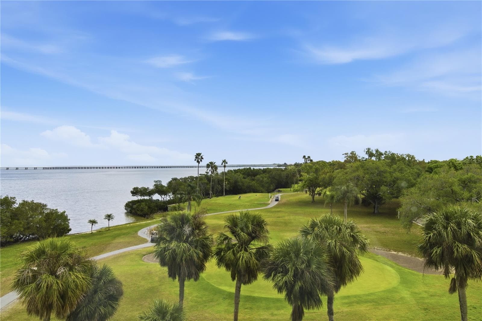 2616 Cove Cay Dr #502 photo 4