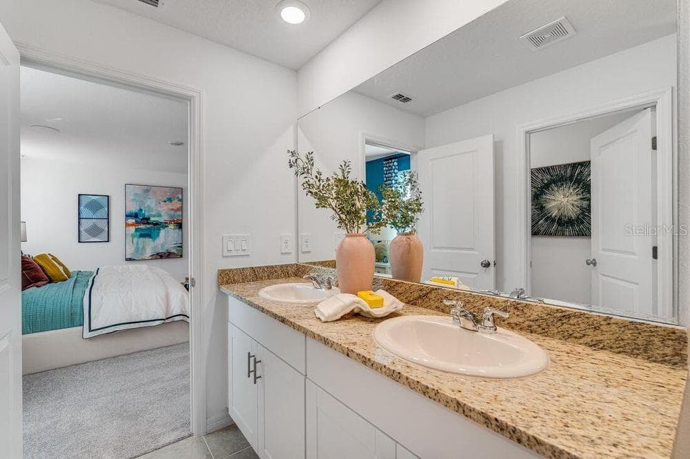 12422 Whisk CT photo 5