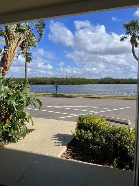 611 Destiny Dr #115 photo 3