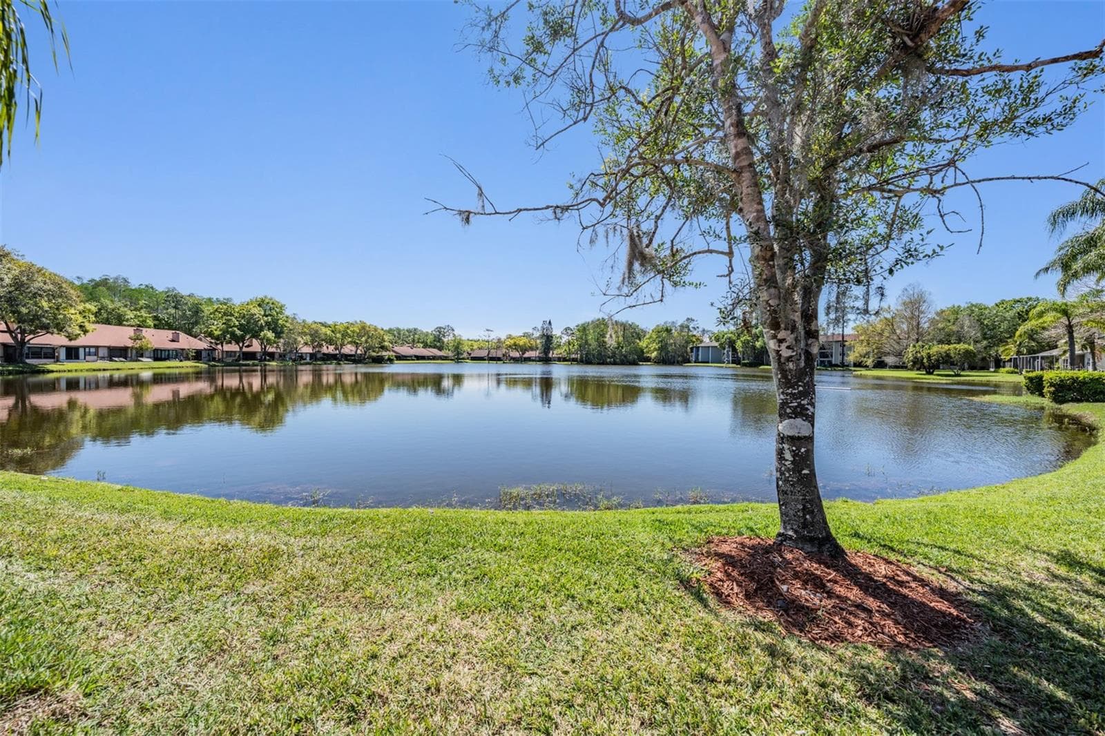 3960 Mermoor Dr photo 3