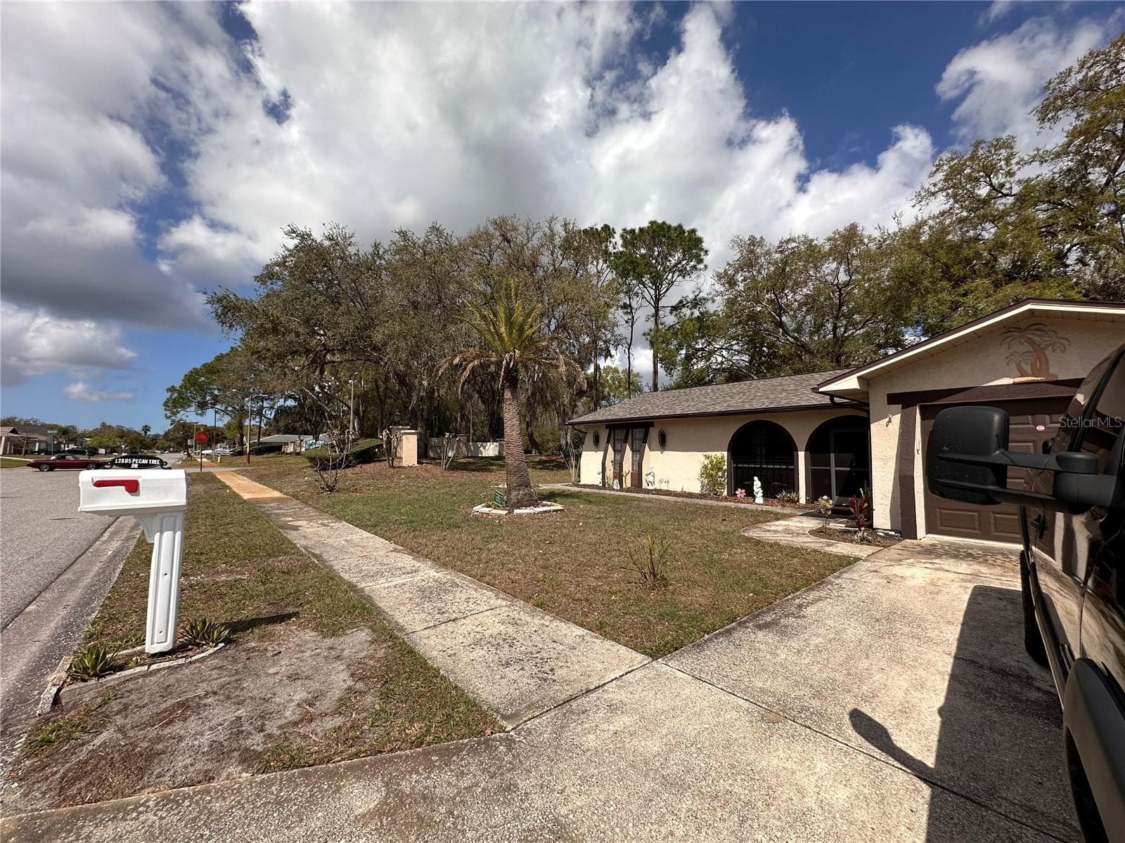 12805 Pecan Tree Dr photo 3