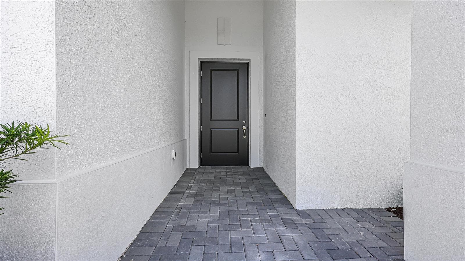 14375 Hammock Oak St photo 3