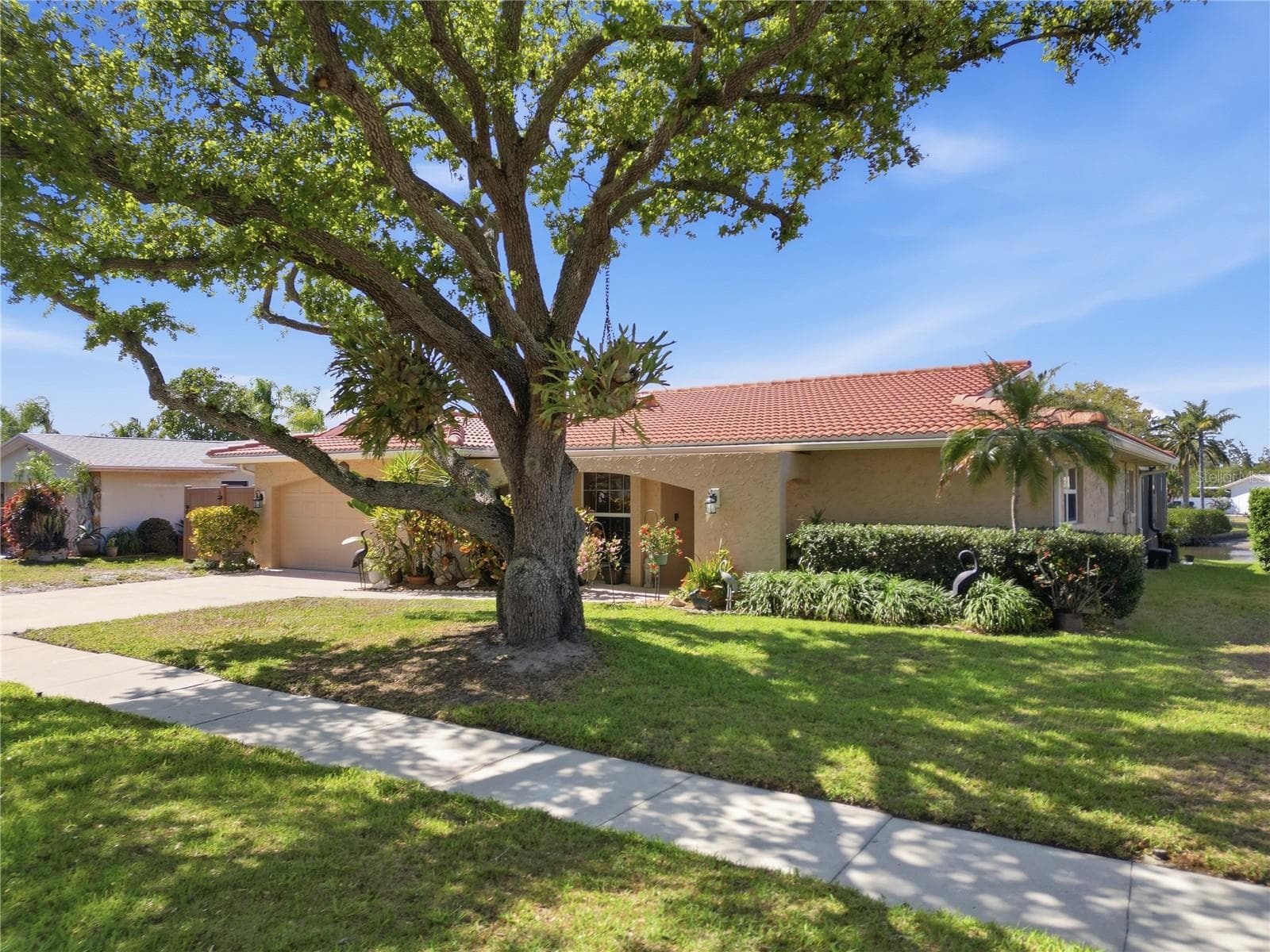 2138 Egret Dr photo 3