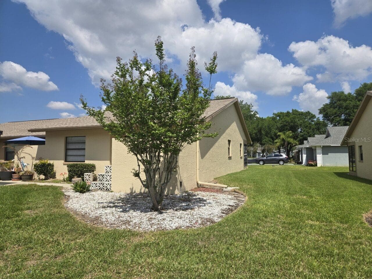 38349 Cottonwood Pl #1 photo 5