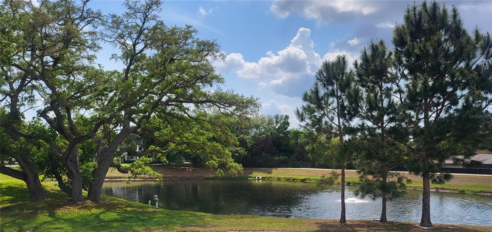 2291 Americus Blvd W #37 photo 3