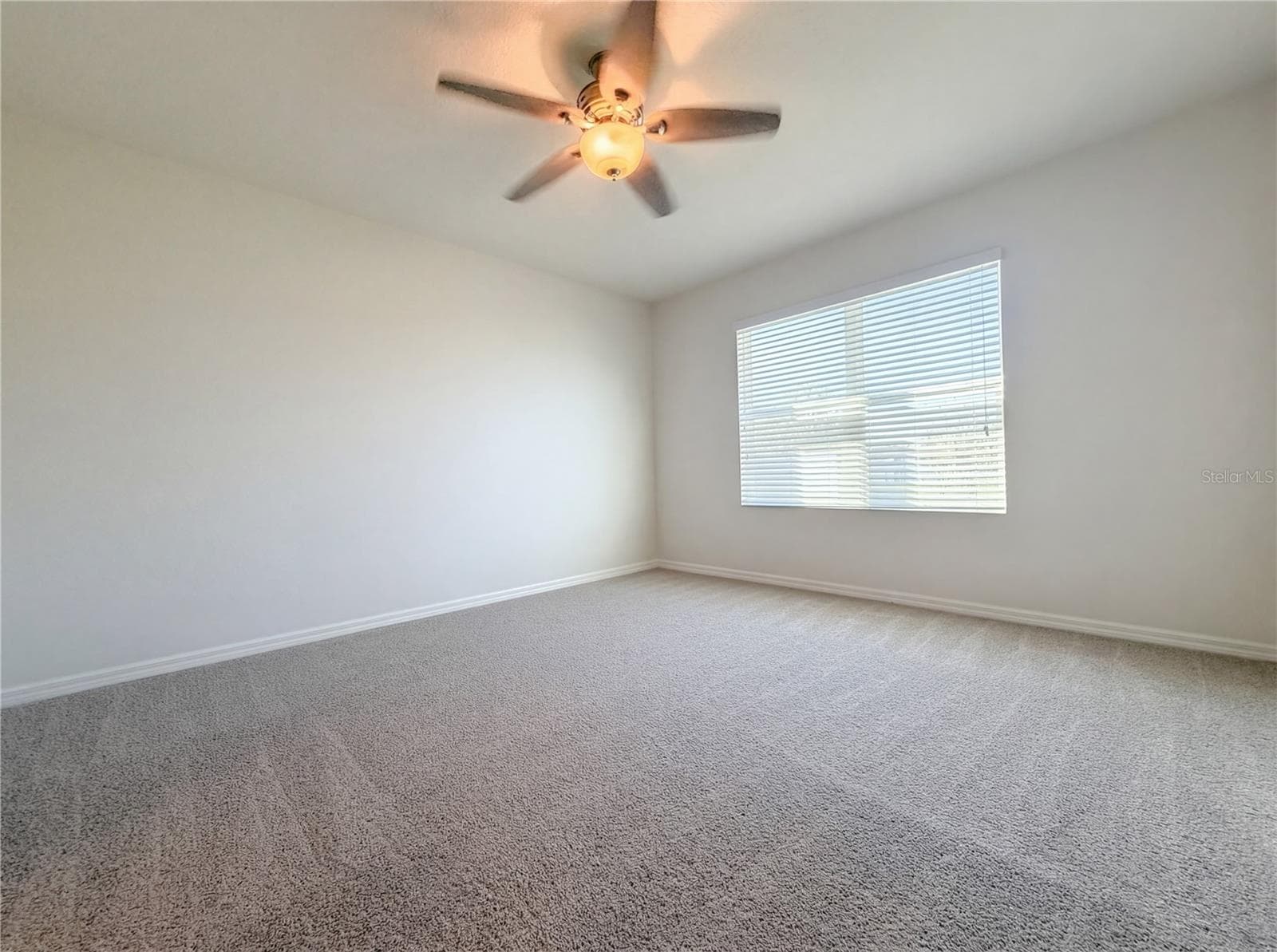 11835 Myrtle Rock Dr photo 5