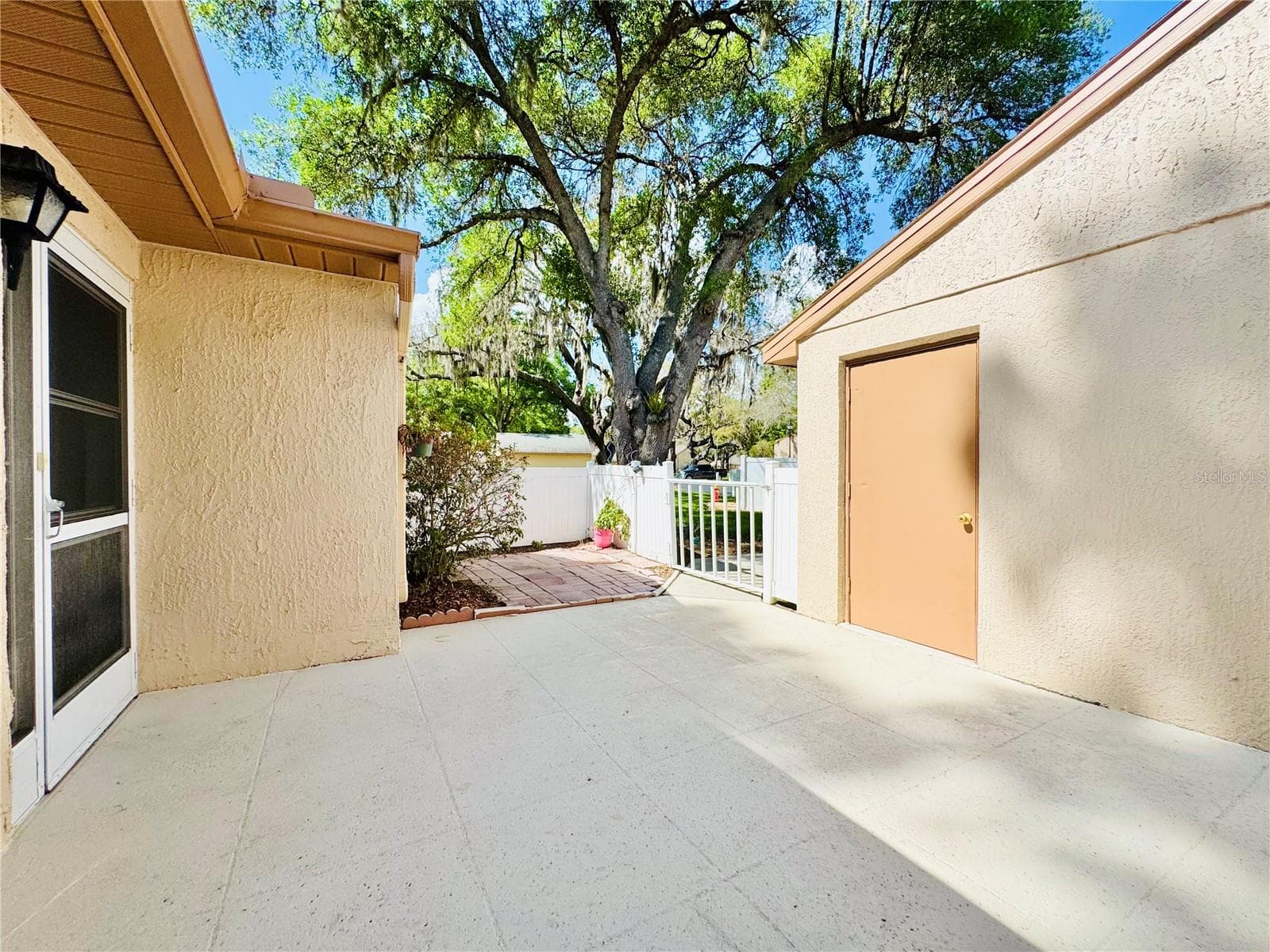 13134 Cypress Hill Dr photo 4