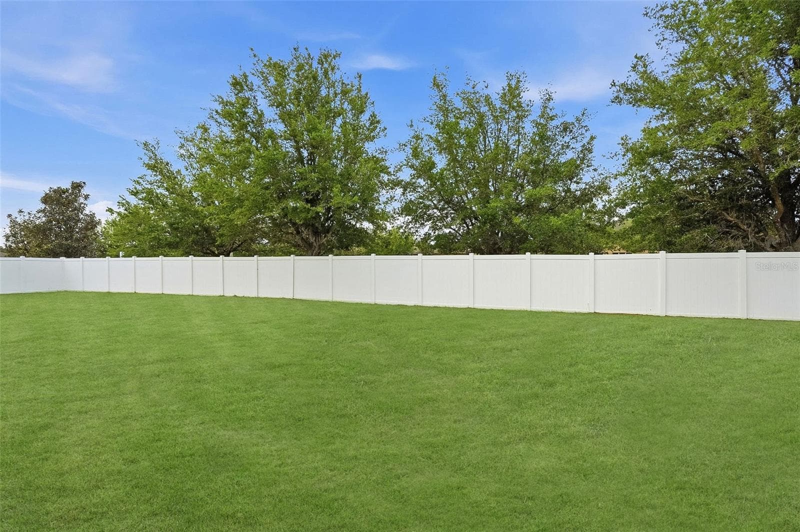 848 Petal Mist Ln photo 5