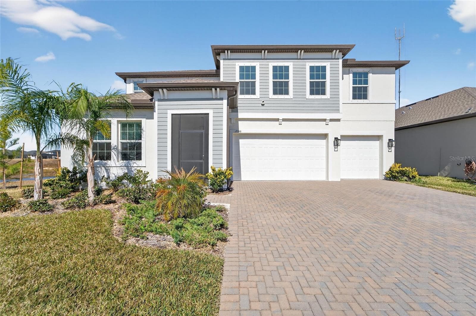 13546 Brook Trout CT