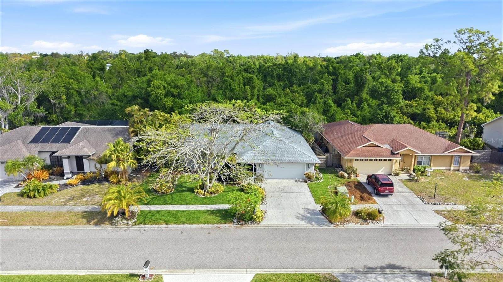 5599 Wilde Oak Way photo 5