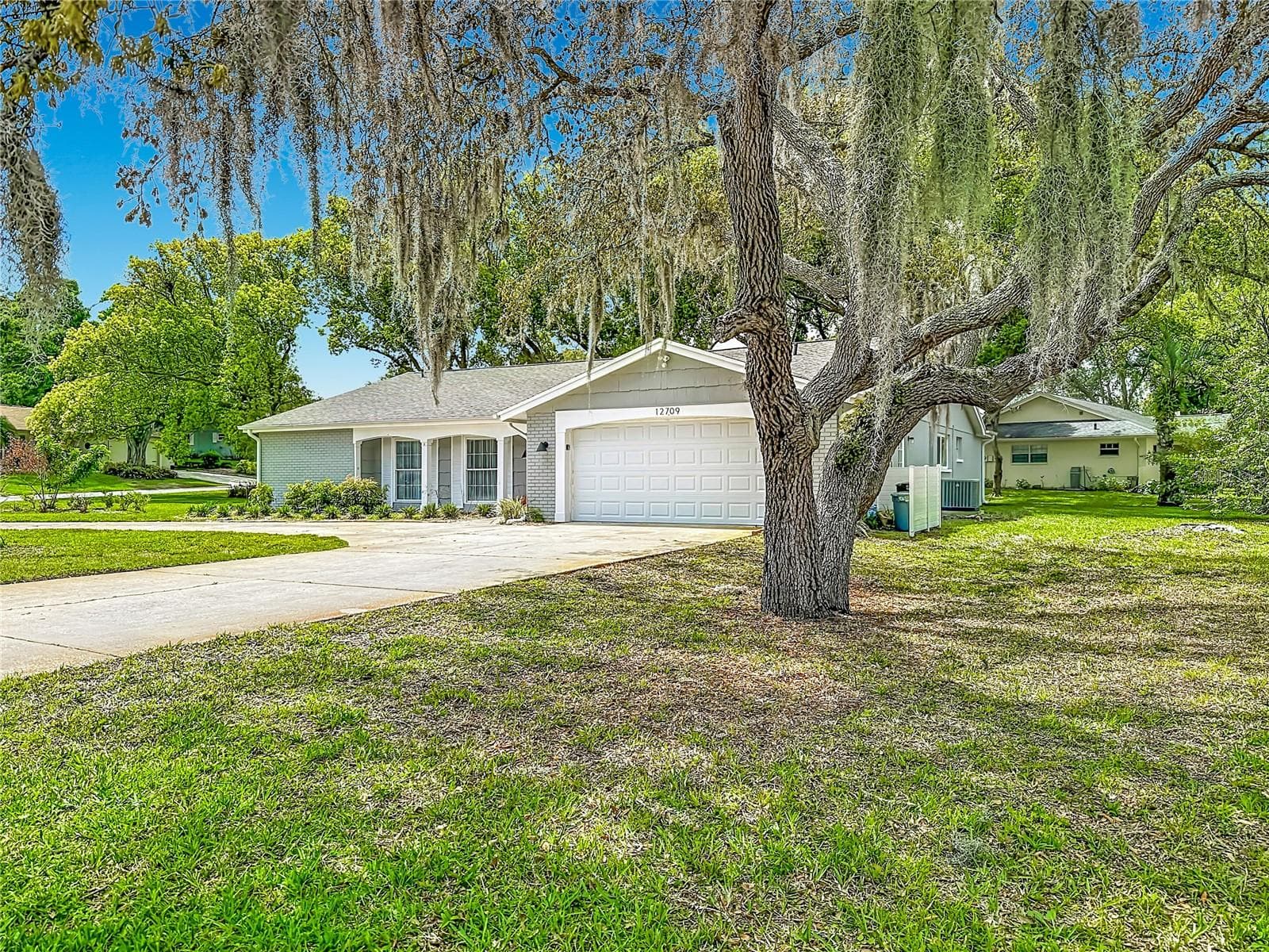 12709 Castleberry CT photo 5