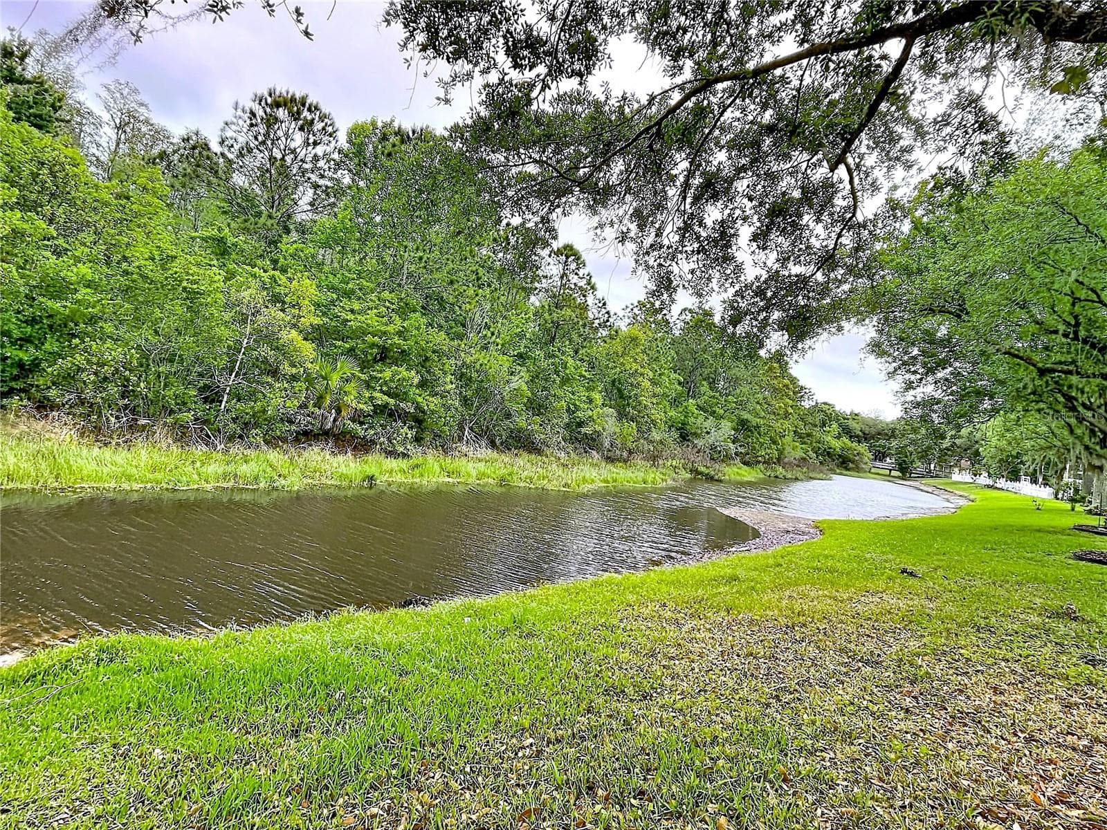 27509 Edenfield Dr photo 3