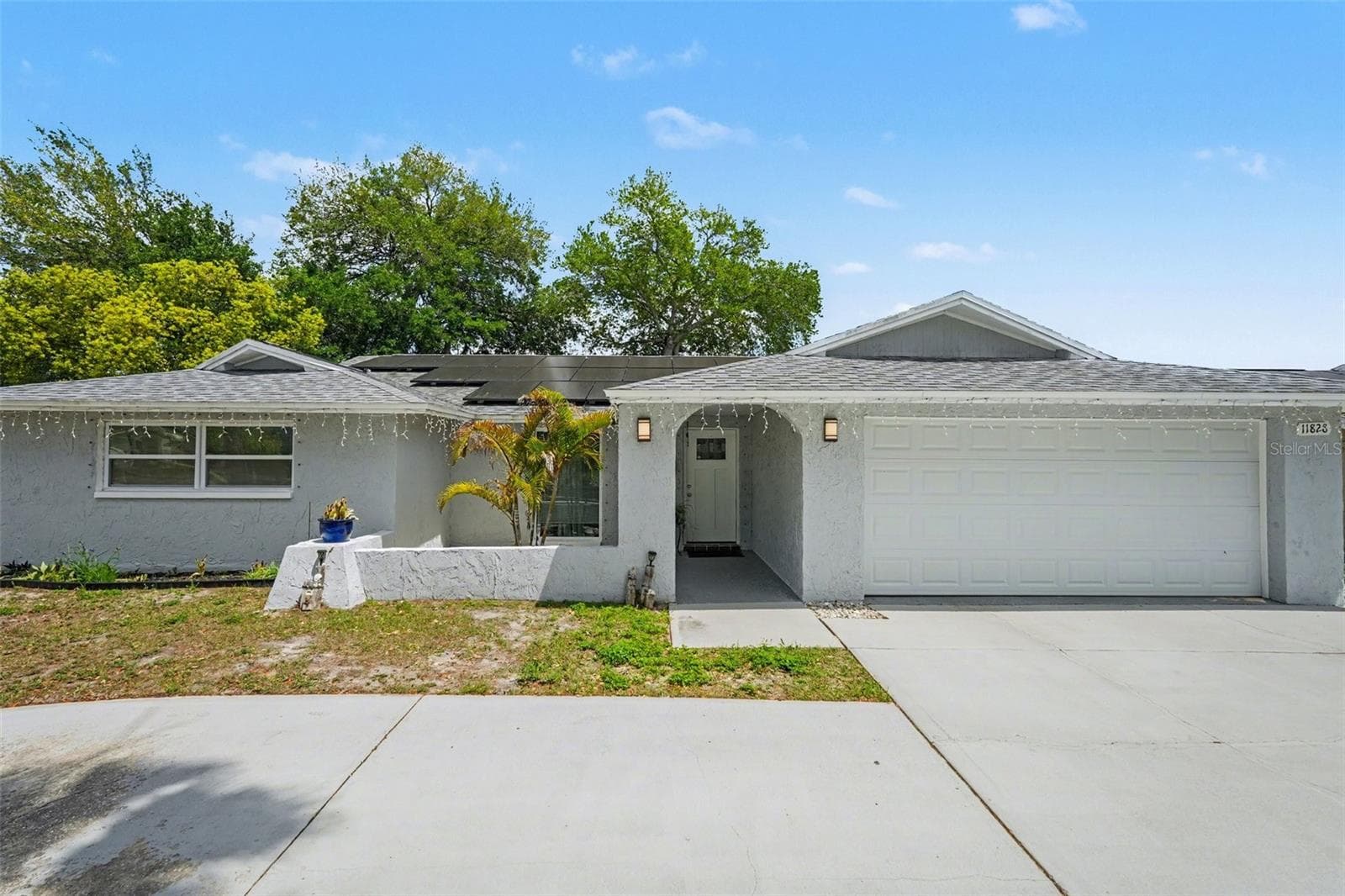11828 Bingham Dr