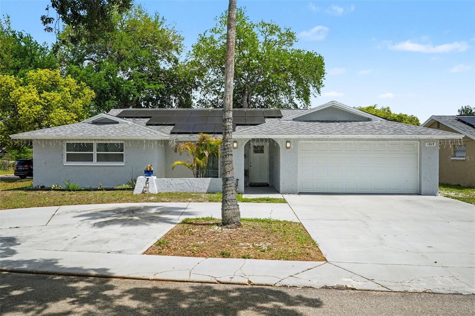 11828 Bingham Dr photo 4