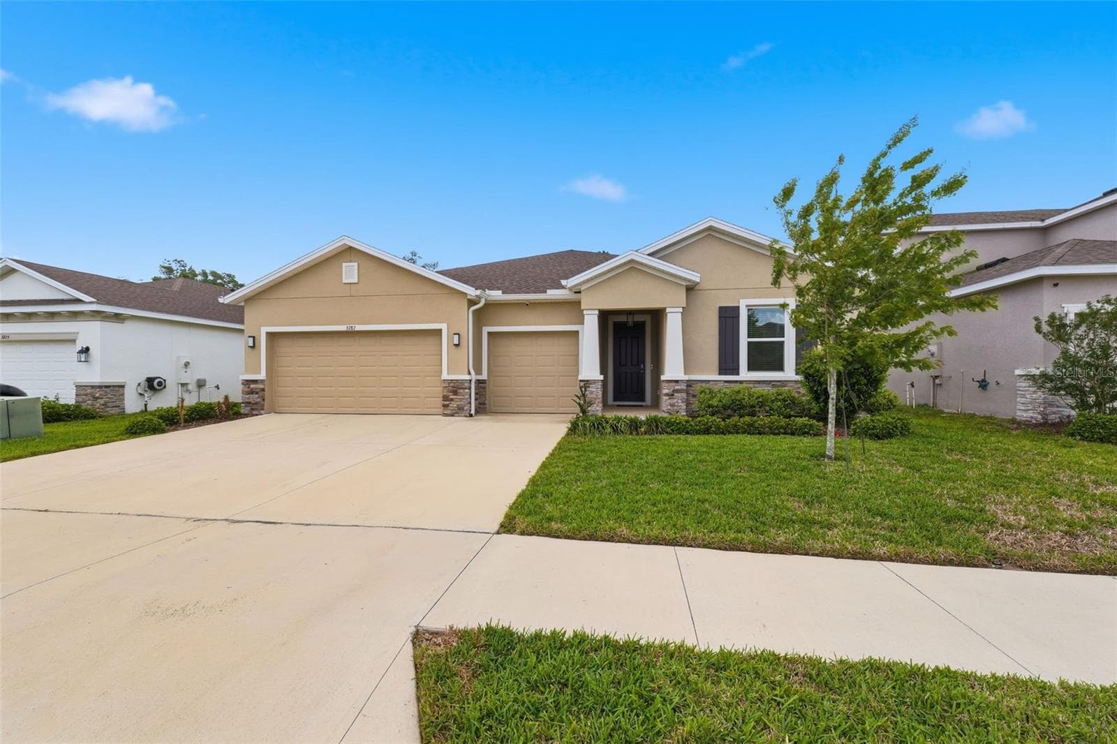 3787 Autumn Amber Dr photo 3