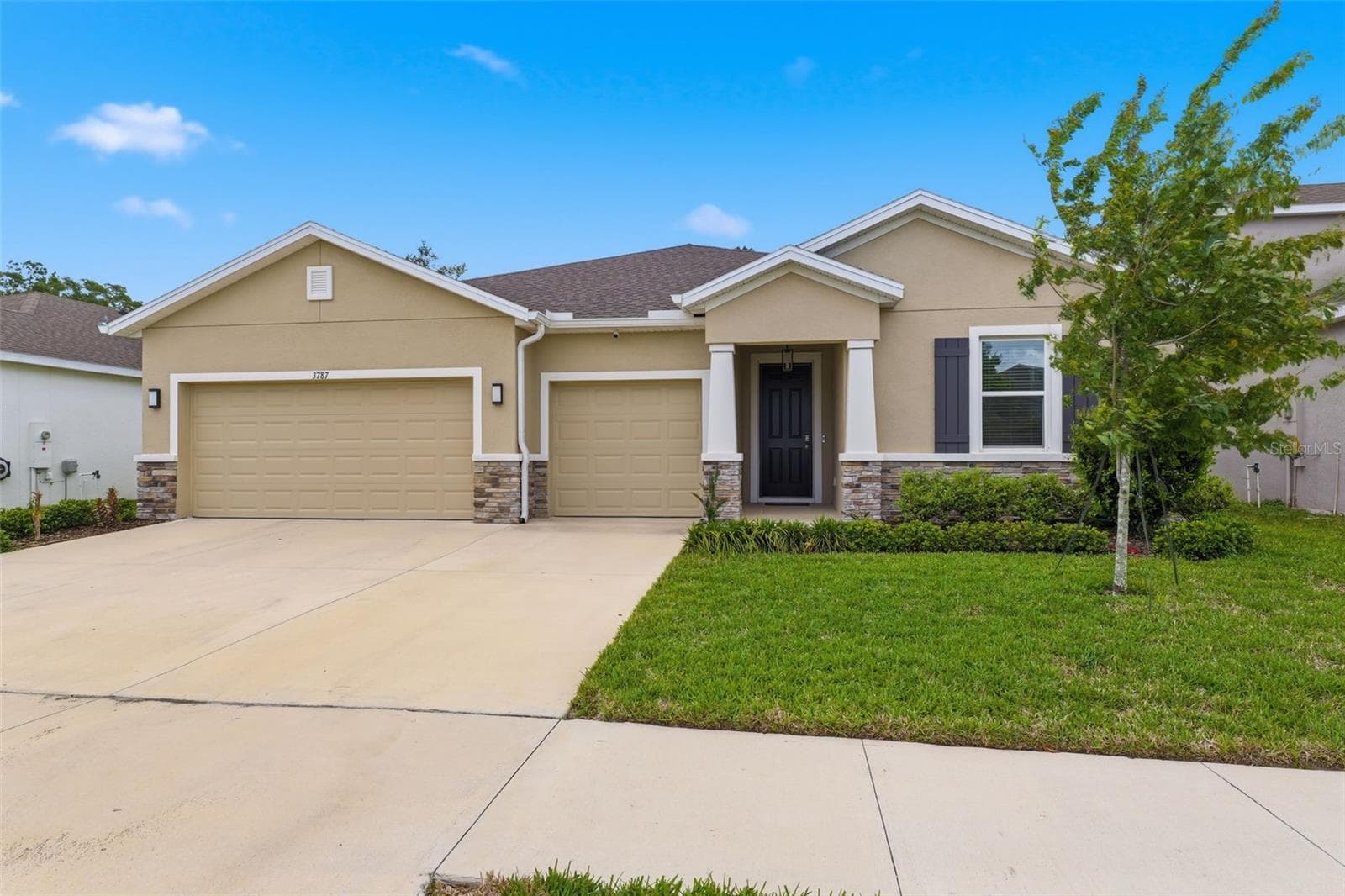 3787 Autumn Amber Dr photo 4