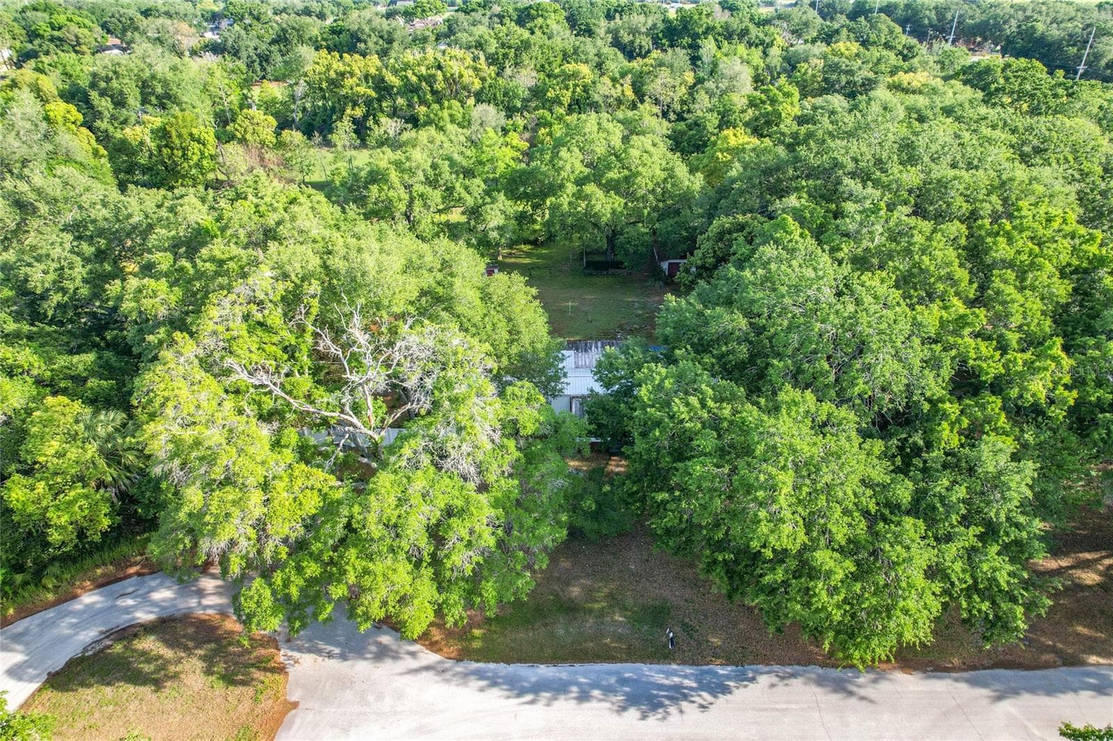 821 Irene Dr photo 3