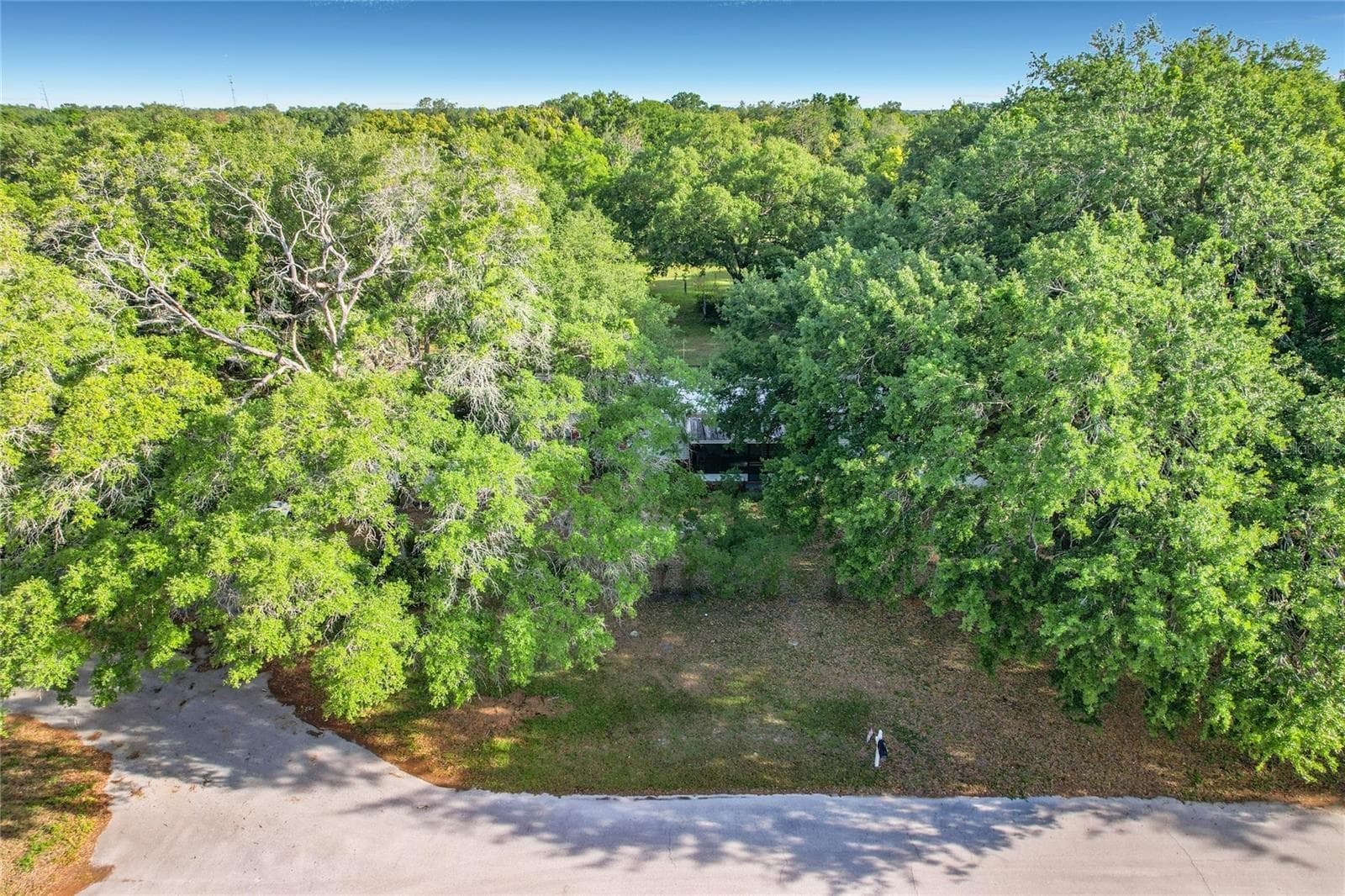 821 Irene Dr photo 4