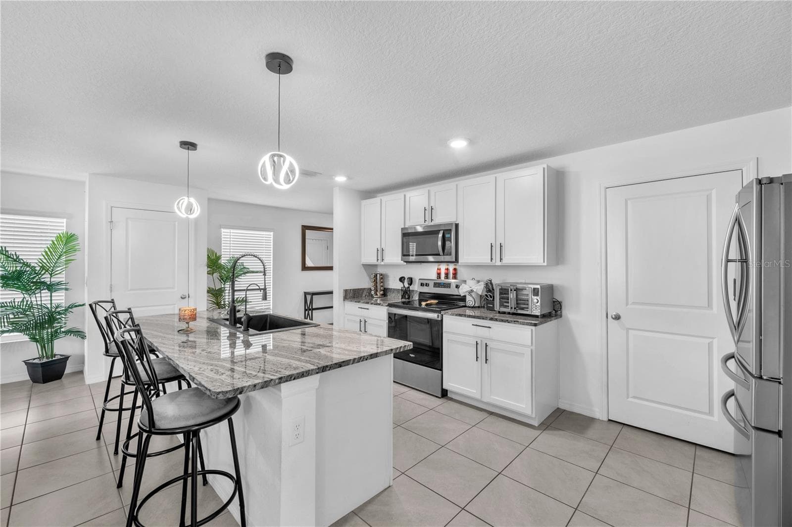 12169 Downy Birch Dr photo 4