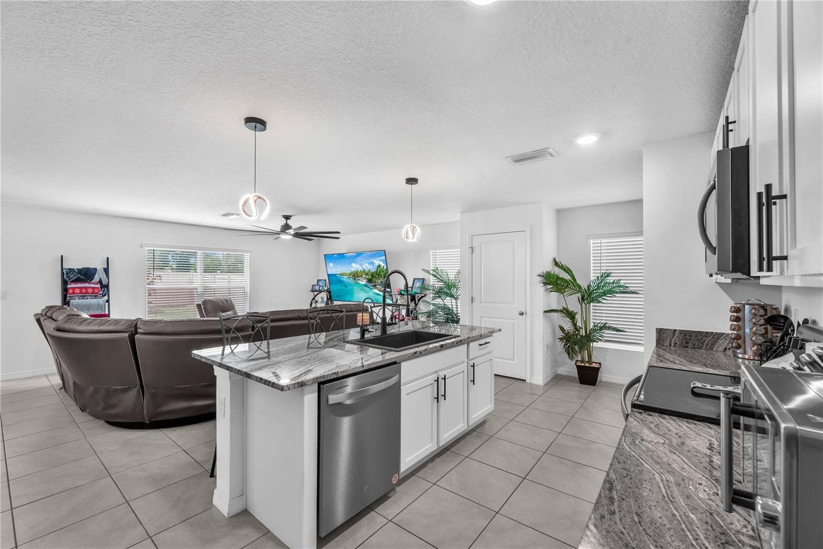 12169 Downy Birch Dr photo 5