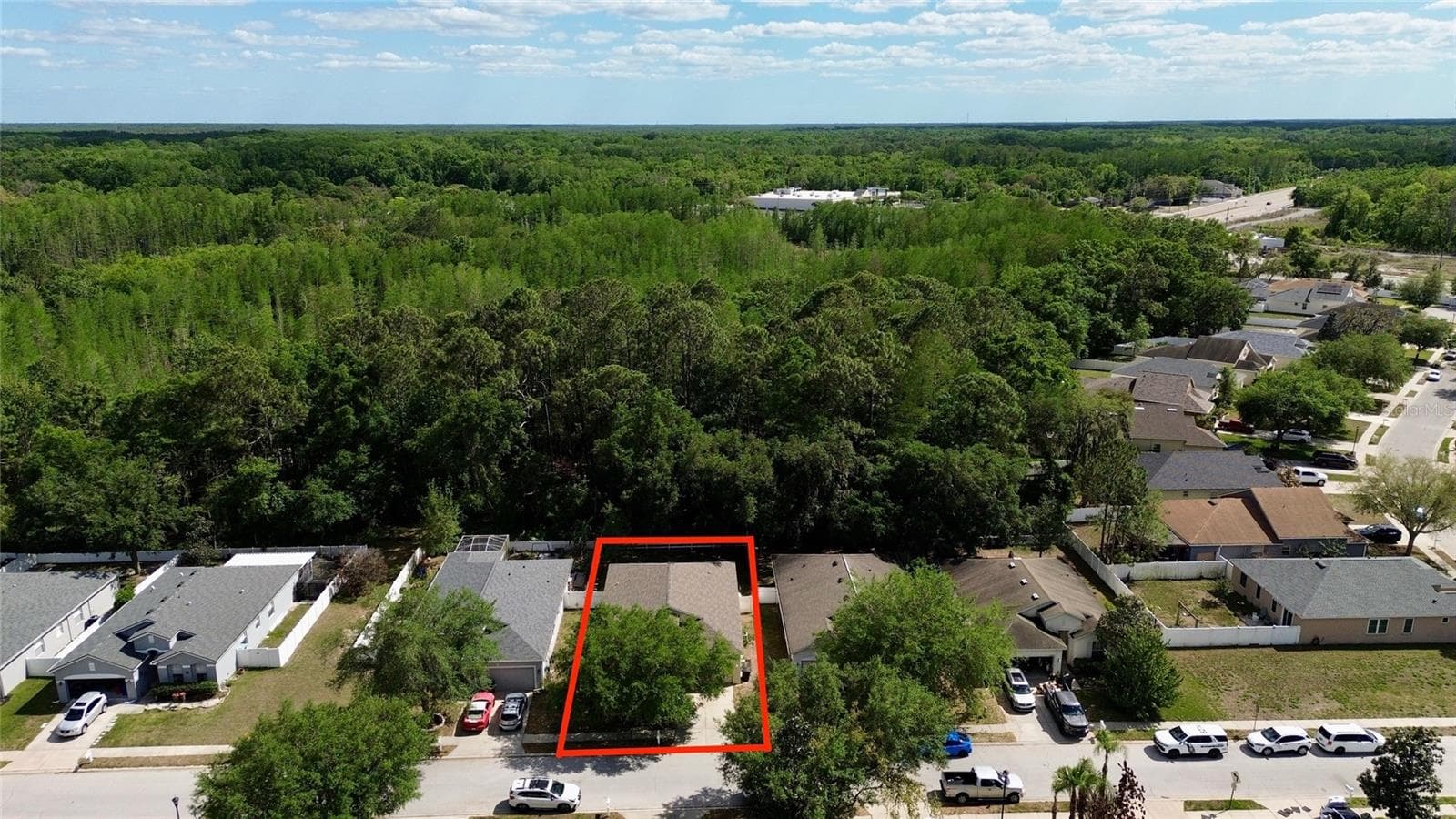 12936 Turnstone CT photo 3