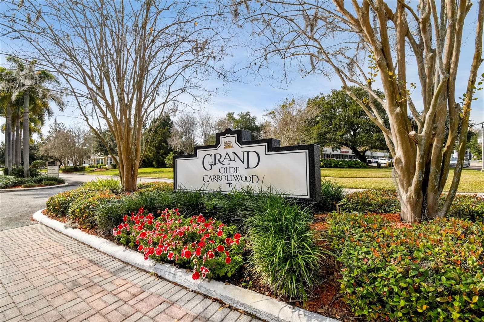 10314 Carrollwood CT #56