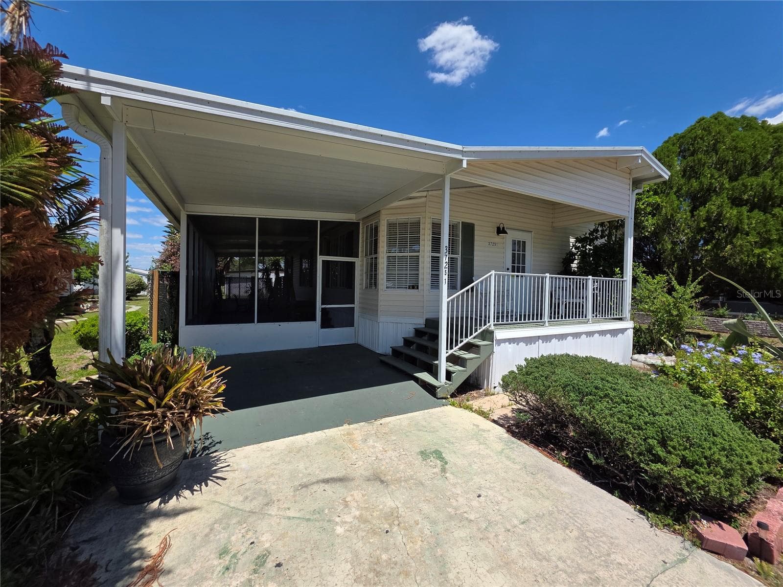 37251 Lois Ave photo 4