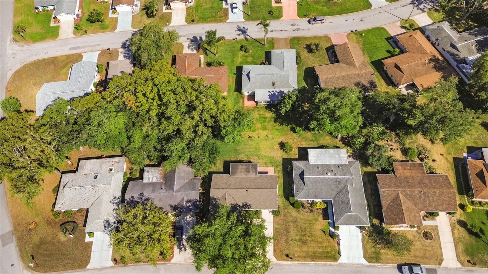 10616 Springwood Dr photo 3