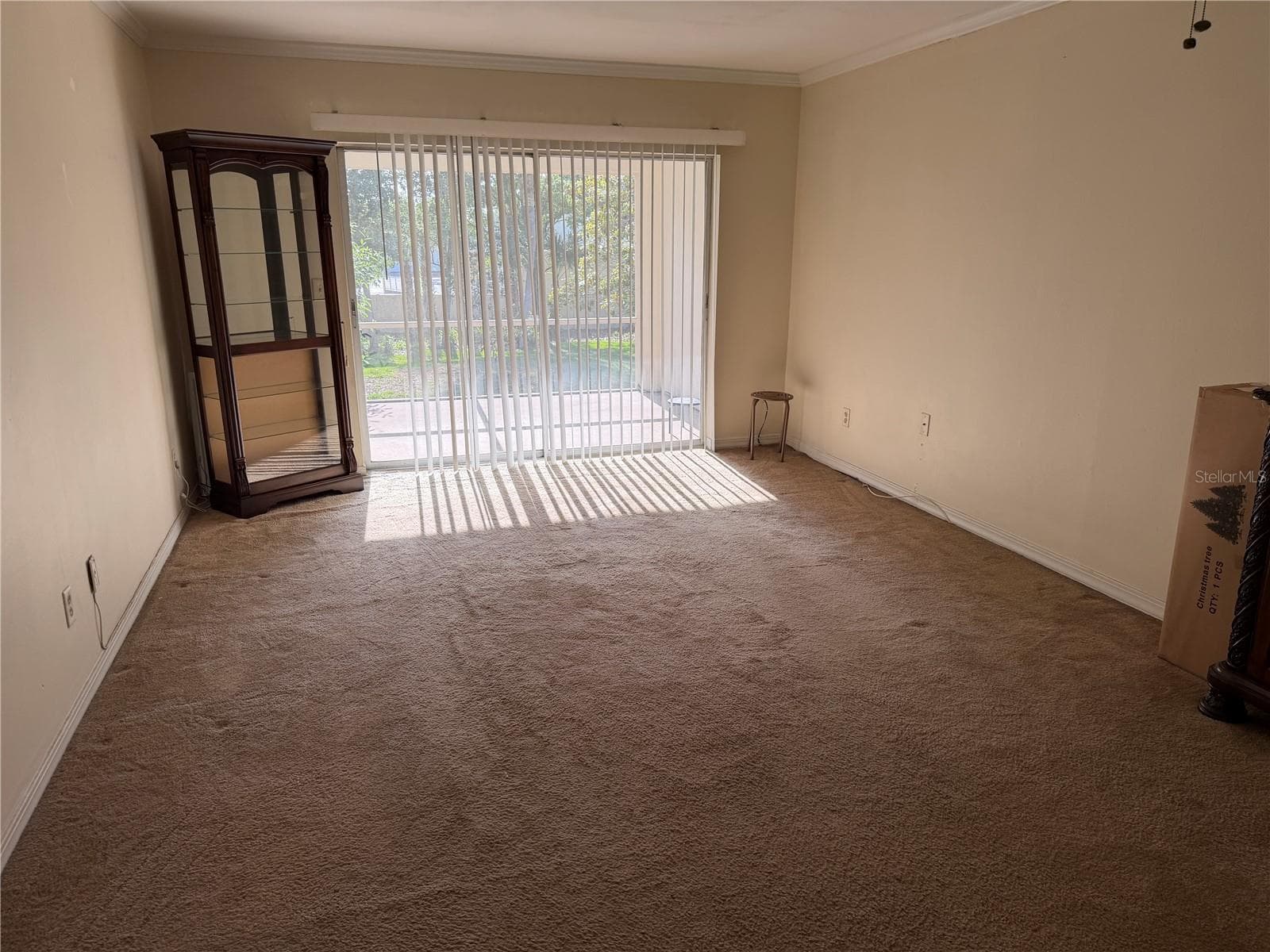 10335 Carrollwood Ln #116 photo 4