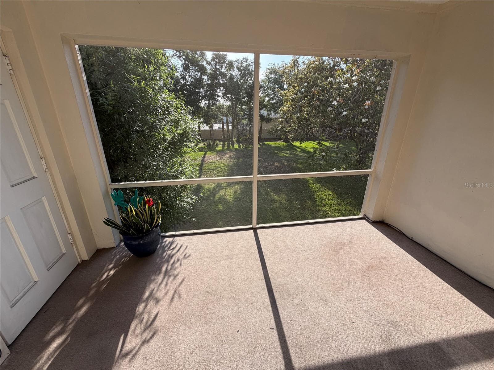 10335 Carrollwood Ln #116 photo 5