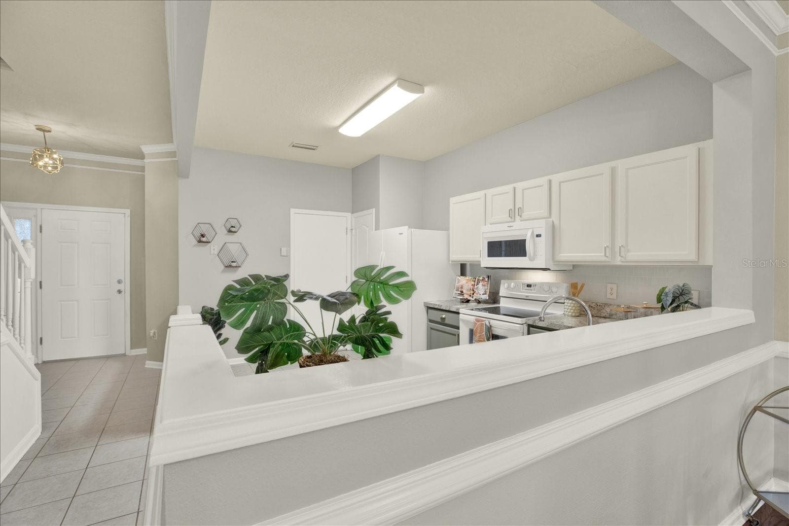 2733 Conch Hollow Dr photo 3