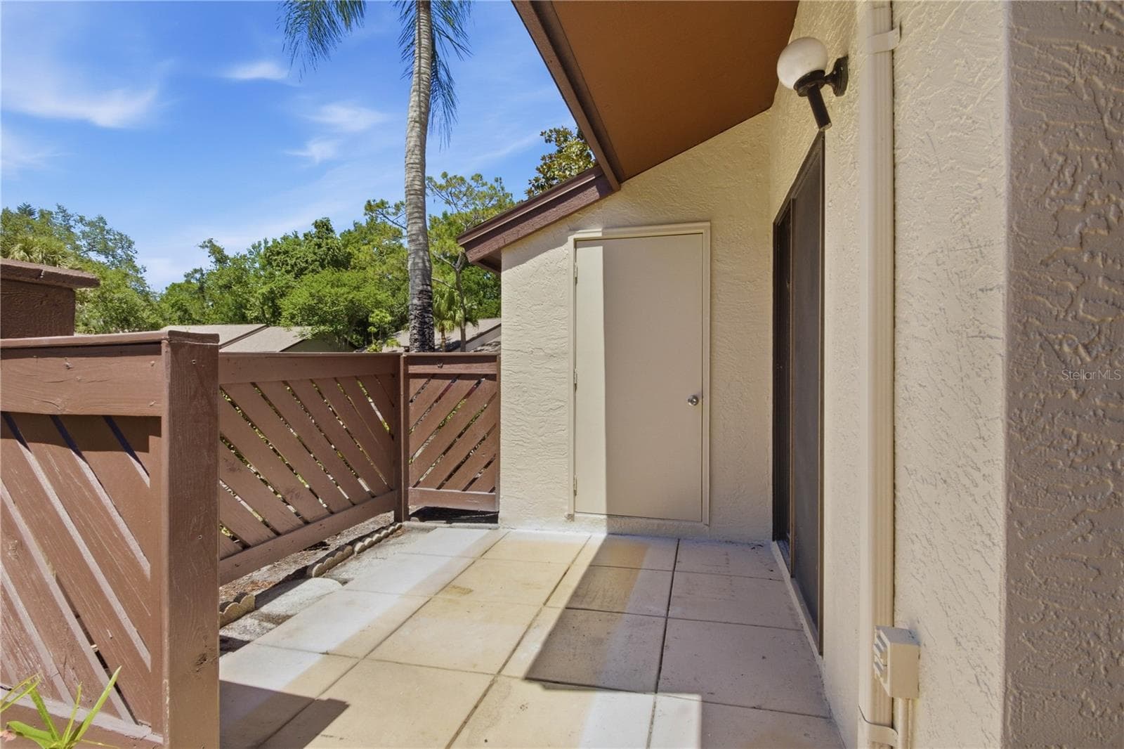 2909 Fig CT photo 4