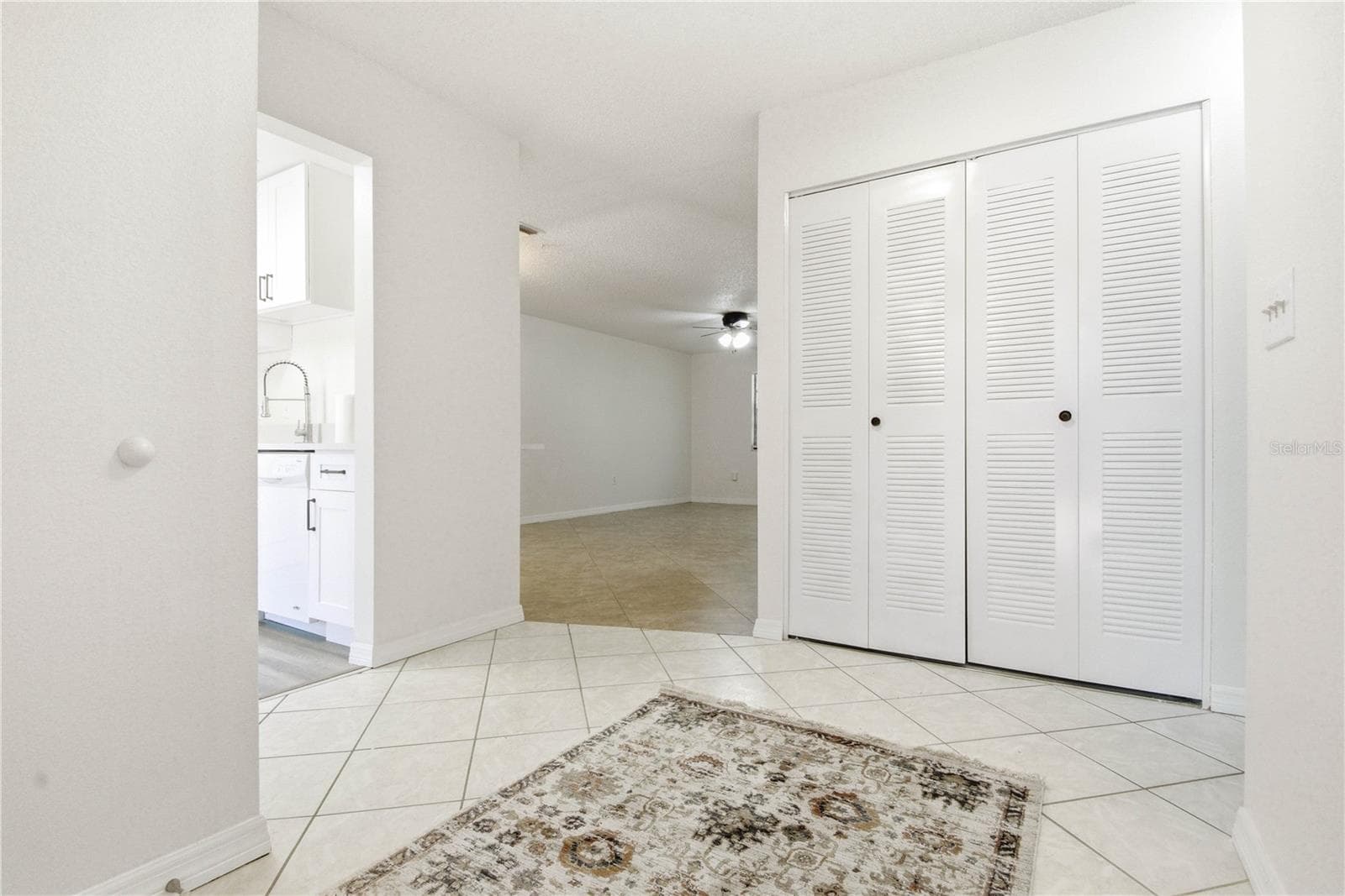 2909 Fig CT photo 5