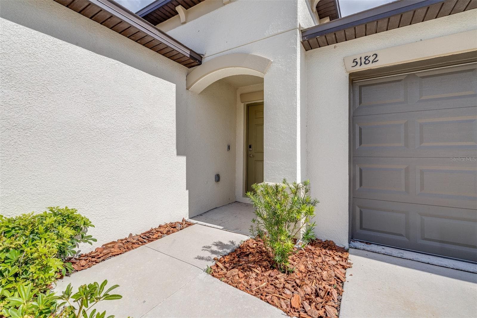 5182 Fiddle Fig Ave photo 3