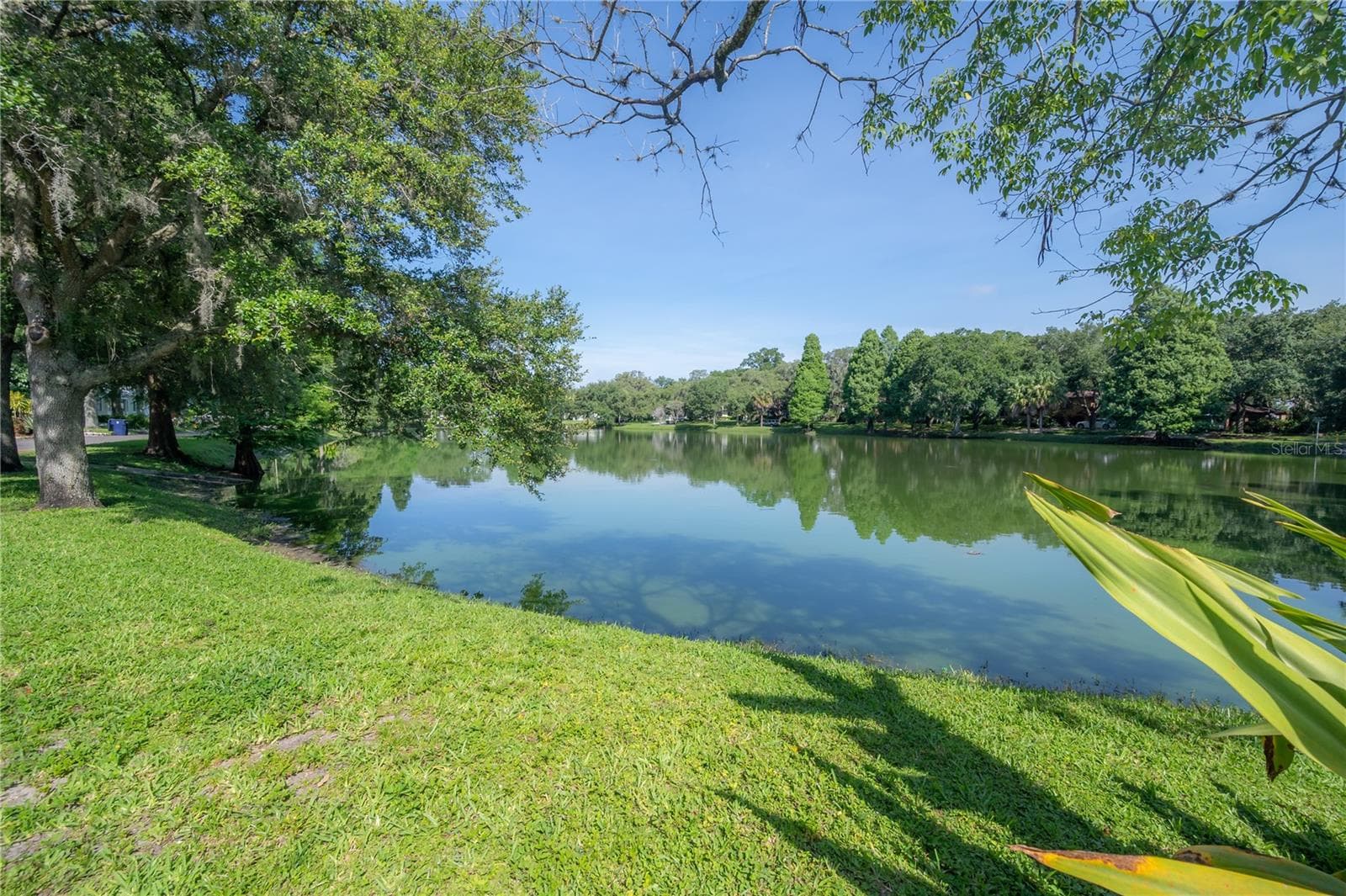 1300 E Henry Ave photo 3