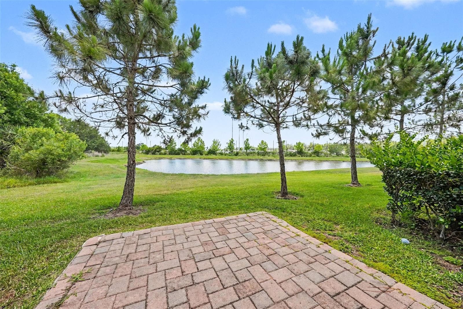 28504 Tranquil Lake Cir photo 3