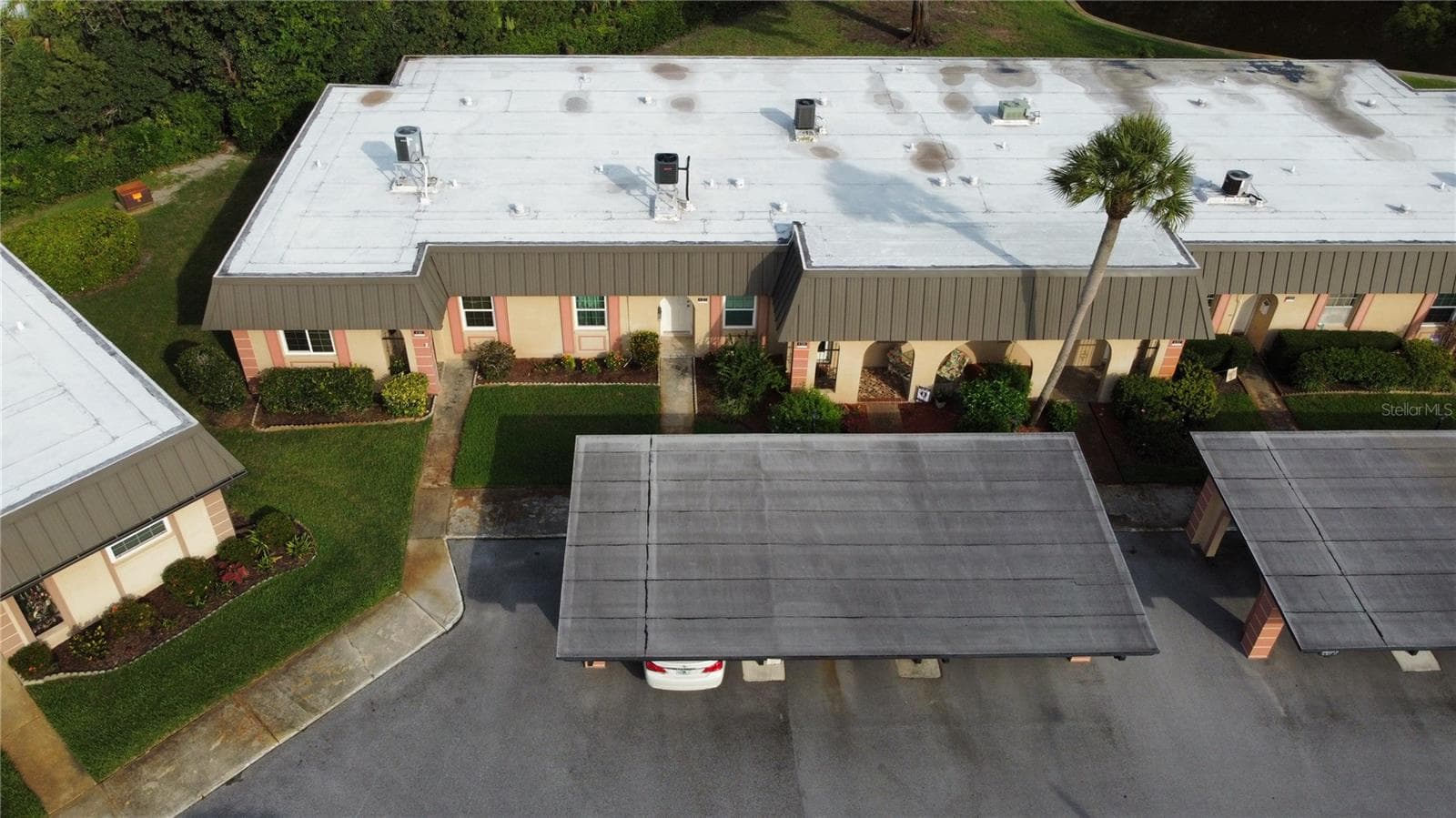 4303 Summersun Dr photo 3