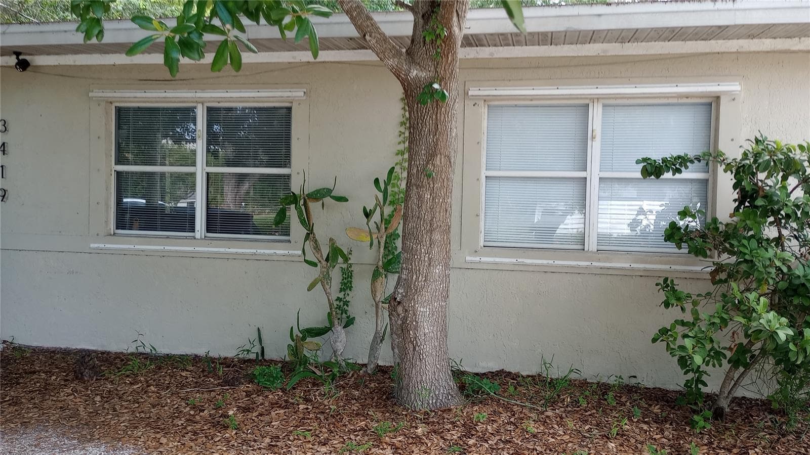 3419 Old Bradenton Rd photo 3