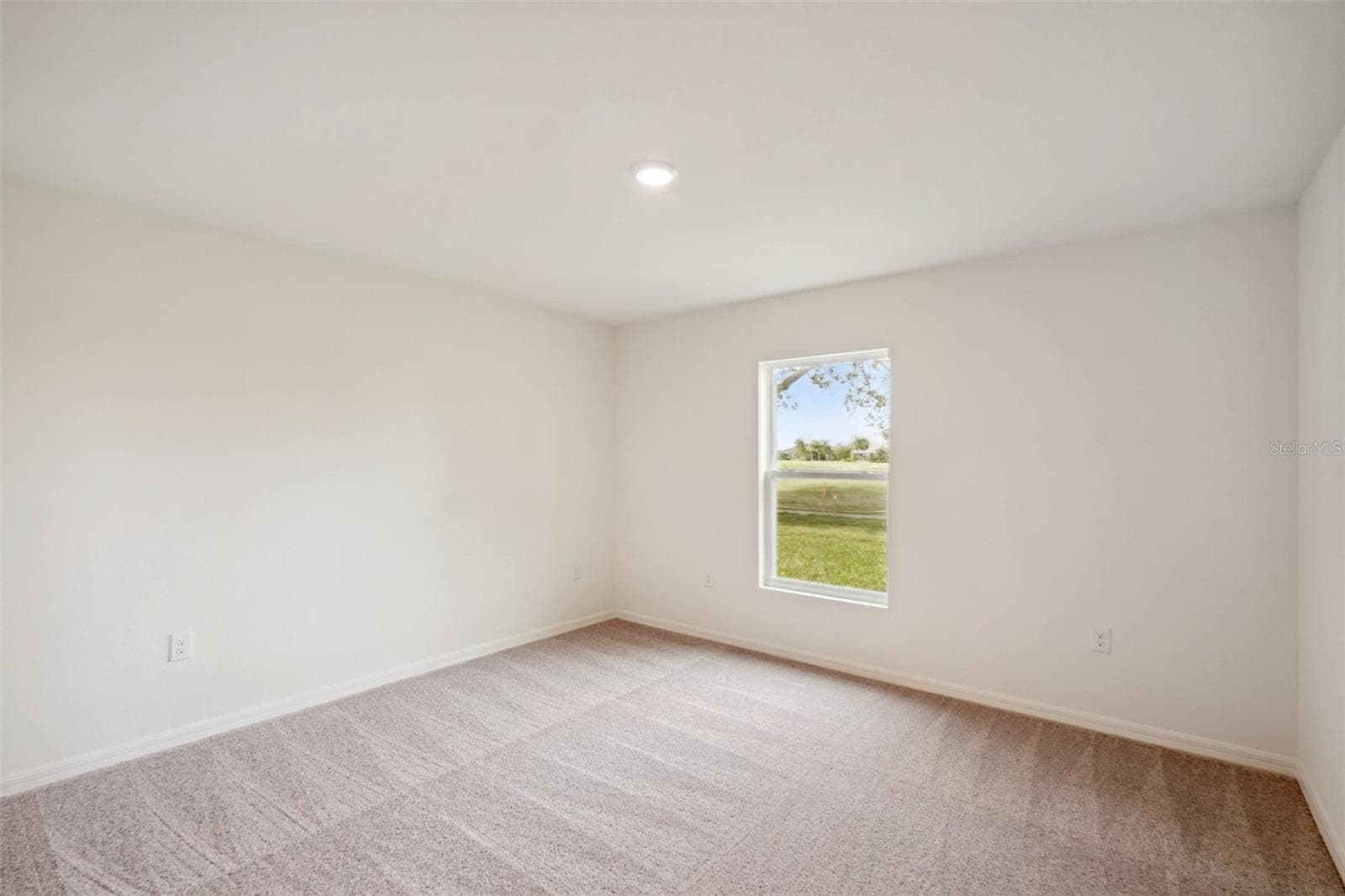 15477 Dusky Sparrow Rd photo 5