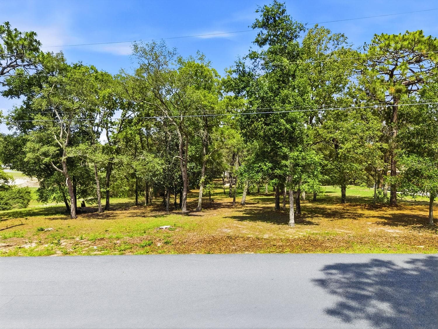 1228 Staten Ave photo 4