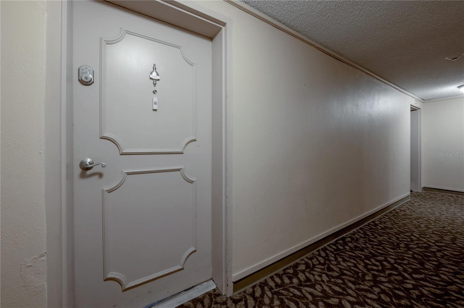 4141 Bayshore Blvd #1003 photo 3