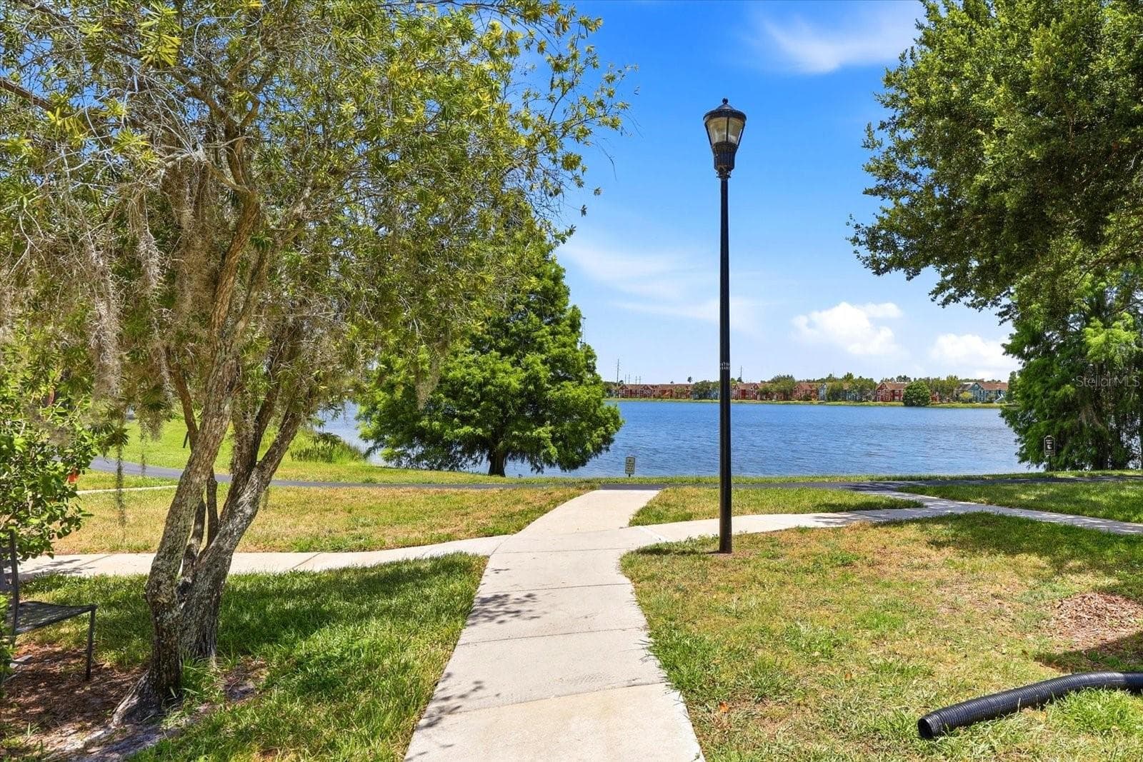 9256 Lake Chase Island Way photo 5