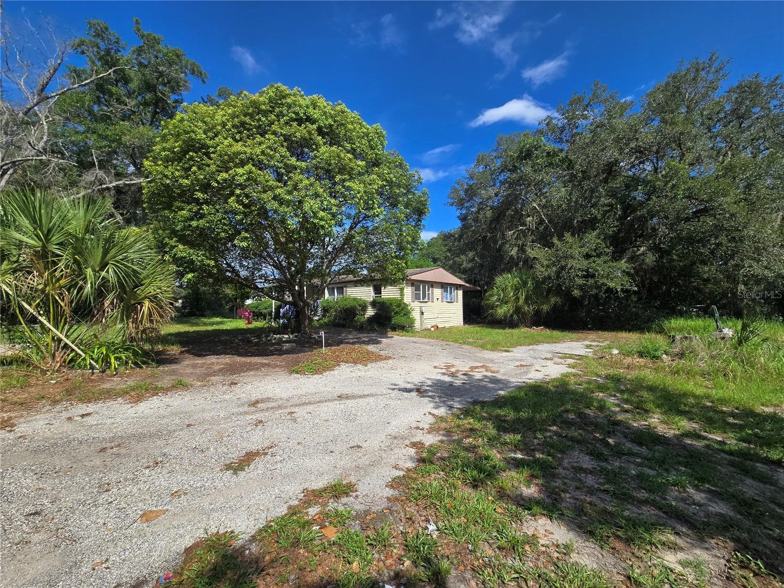 3620 Vicki Dr photo 3
