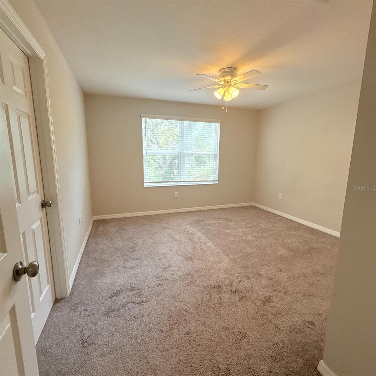 7234 Grand Elm Dr photo 3