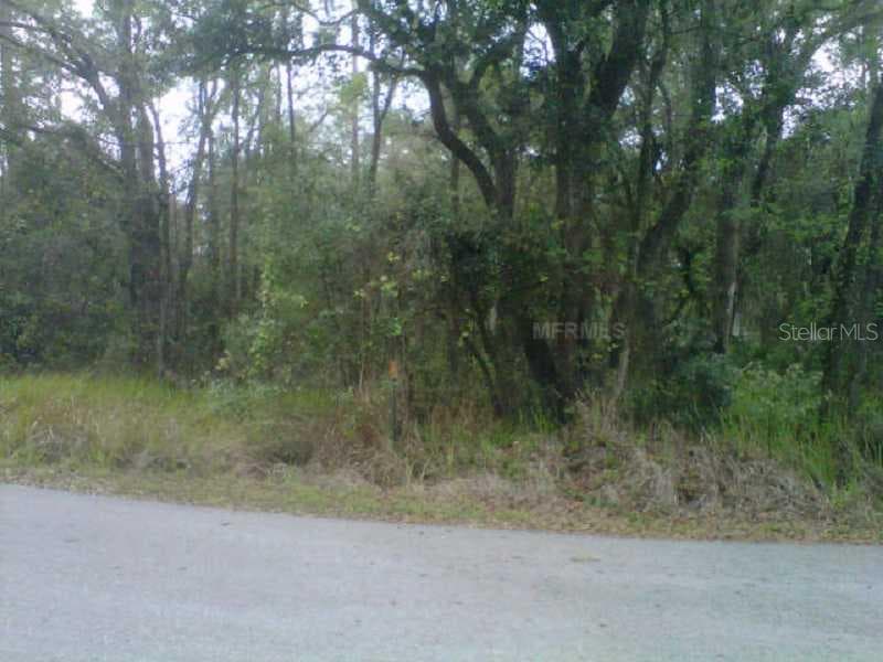 State Park Rd photo 3